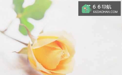 爱人之间相处何种是禁言？