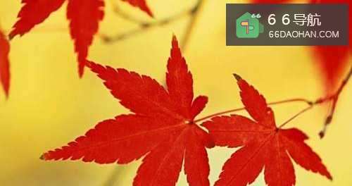 左撇子被歧视怎么样处理?