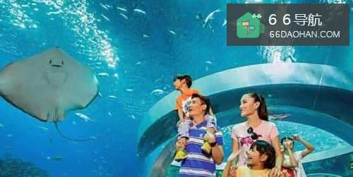 家长怎样带孩子逛海洋馆