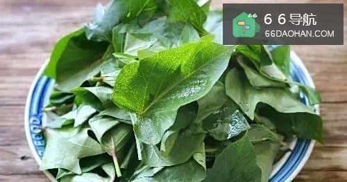 红薯叶窝头如何做