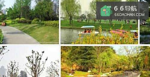 天气好,老人家应该到哪去逛逛?