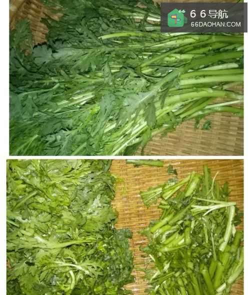 简单的家常小炒茼蒿