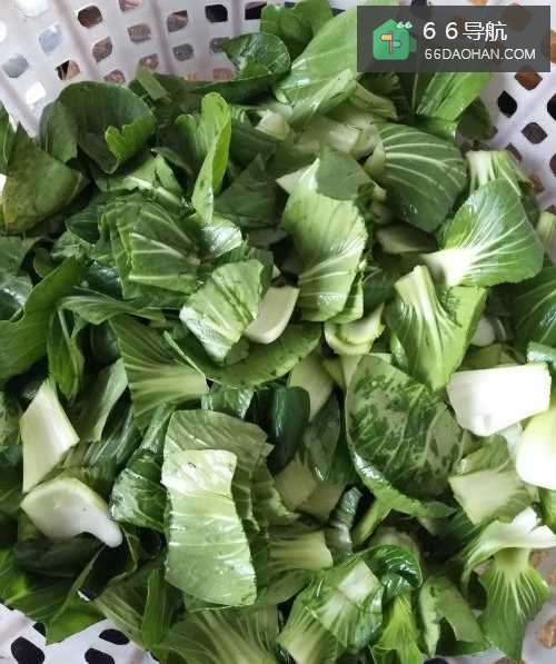 家常菜--青菜烧牛肉