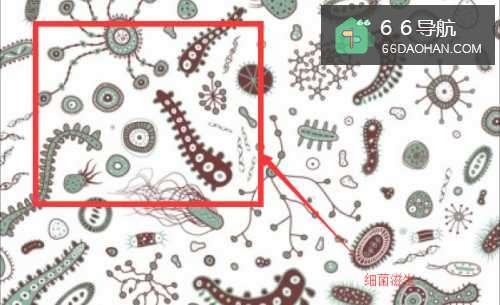 宠物狗在春天生病的四个征兆