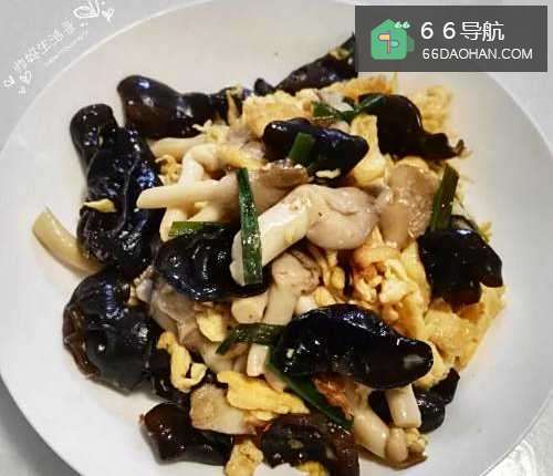 木耳平菇炒海鸭蛋--清理血管的家常菜