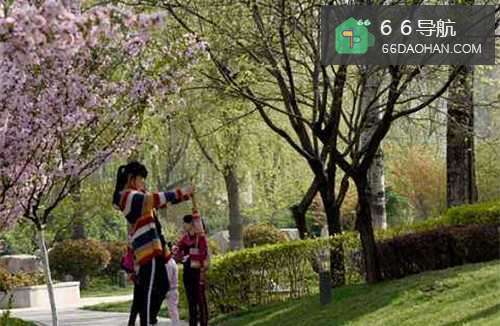 怎样带孩子享受春天