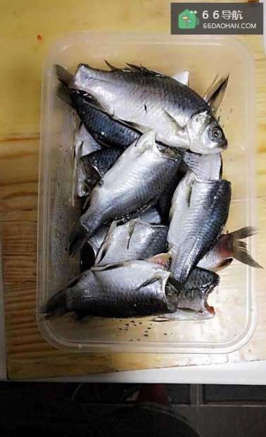 家常菜——鲫鱼豆腐