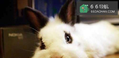 话题废该如何和他人愉快地玩耍