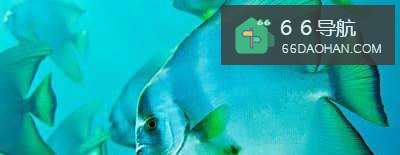 善良的人会感恩