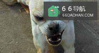 如何面对脾气暴躁的妻子