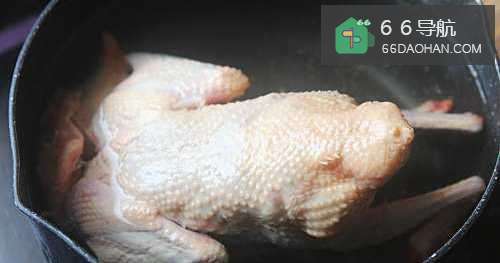 【鸽子汤】简单做法