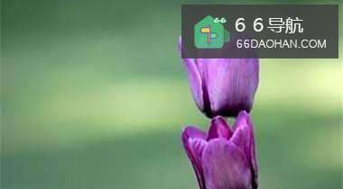 怎样让别人爱上你?