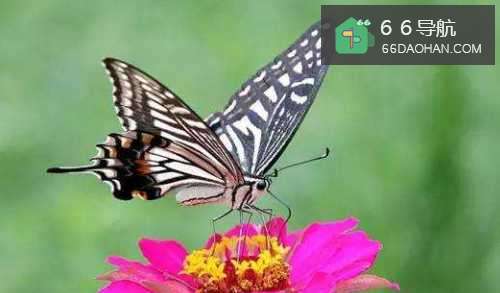 如何在生气的一瞬间保持冷静?