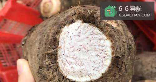 葱香芋头酥的做法