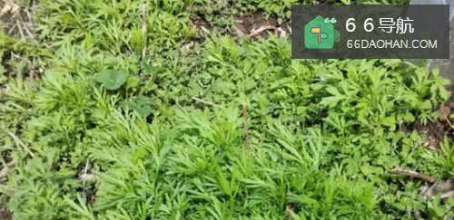 如何与父母开心的过周末?