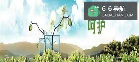 婚姻小秘书：[31]丈夫需要记得的几件事