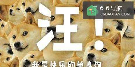 单身狗怎么过年?