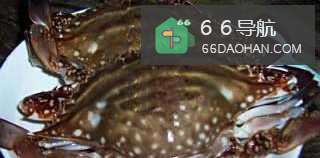 清蒸海蟹的家常做法