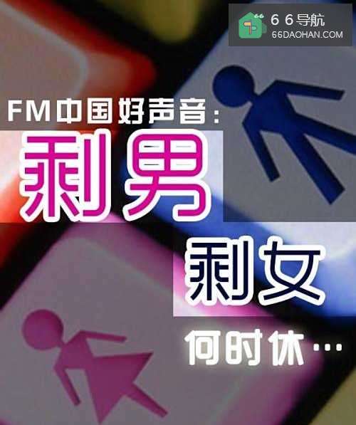 剩男剩女爱情指南