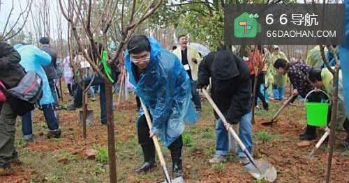 植树节可以做哪些有意义的事？