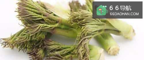 野菜刺嫩芽的吃法