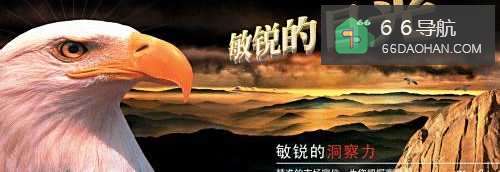 四国军旗中的职场人生