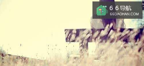 恋爱的过程与攻略