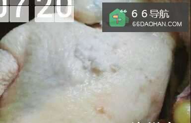 白切鸡如何做