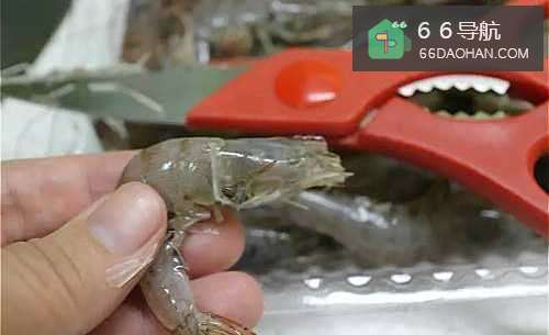怎样做出家常菜系列之胡椒白虾