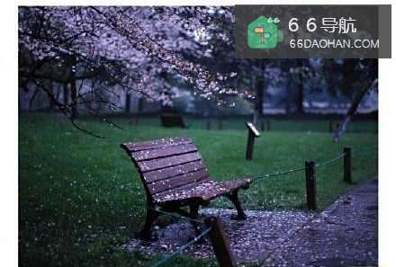 年轻人怎样理解婚姻