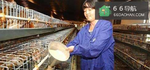 职场生存技巧：[5]如何取得领导的信任