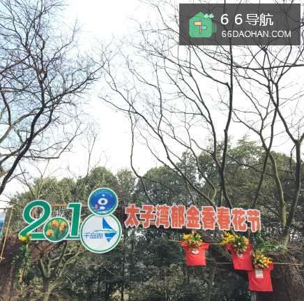 西湖太子湾小吃有哪些