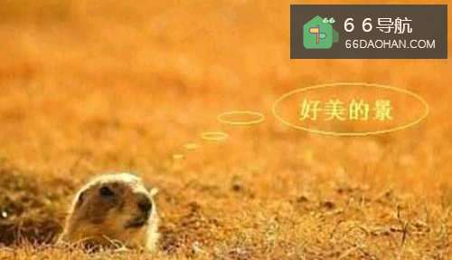 混迹职场,我们最终要磨练出来的9个领导技能