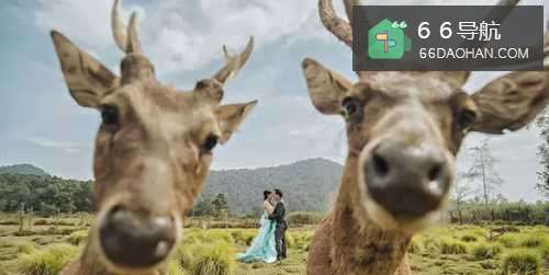 婚礼不再是策划师的事，婚礼创意你也可以！