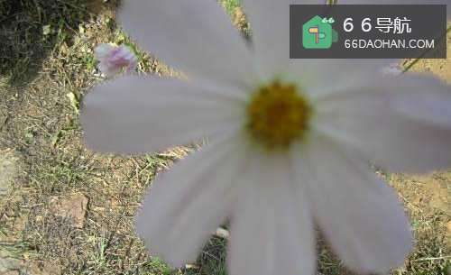 人为什么会出现愁眉苦脸的现象