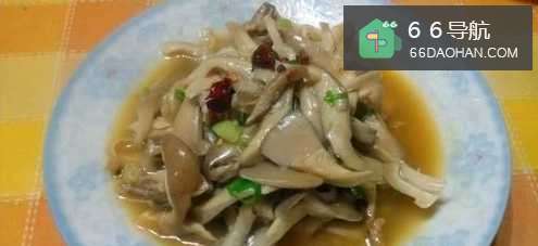 磨菇家常做法