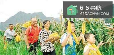 怎样解决家庭关系的矛盾