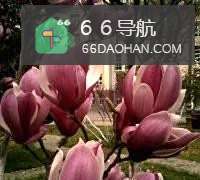 在办公室怎么和领导和平相处