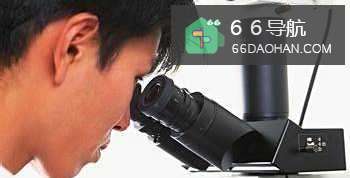 职场遇到困境该如何摆脱