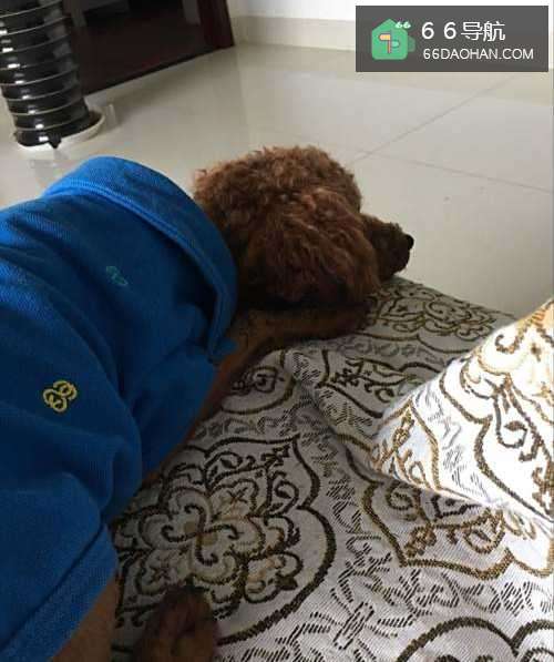 当今男人如何更好的让女人爱上自己