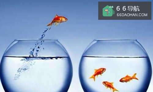 关于跳槽应该准备和知道的事情