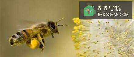 多付出才会更幸福