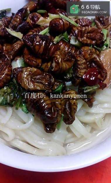 特色小吃——蚕蛹面