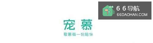 视爱宠如家人,他离世了该如何走出痛苦悲伤?