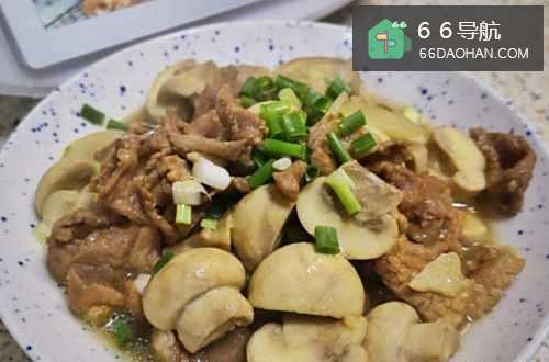 小白菇怎么做好吃