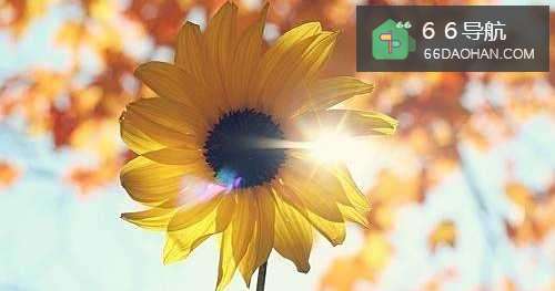 怎样进行自我开导?