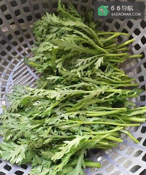 家常菜--茼蒿豆腐汤