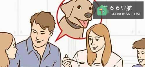 家庭中如何说服父母养狗
