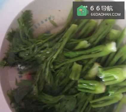 刺老芽炒肉的做法