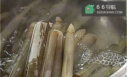 怎样做出家常菜系列之双椒炒蛏子